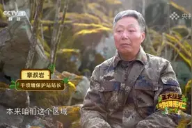 今天18点档，CCTV-1《正大综艺·动物来啦》带您来看梅花鹿重归自然的欣喜时刻图片
