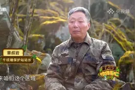 今天18点档，CCTV-1《正大综艺·动物来啦》带您来看梅花鹿重归自然的欣喜时刻图片