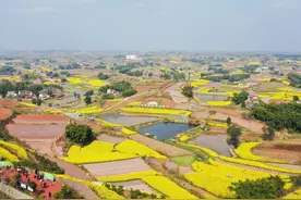 桃花梨花进入盛花期 四川自贡七大赏花景点盘点图片