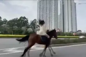 广西北海一女子街头“策马奔腾”，被警方约谈视频封面