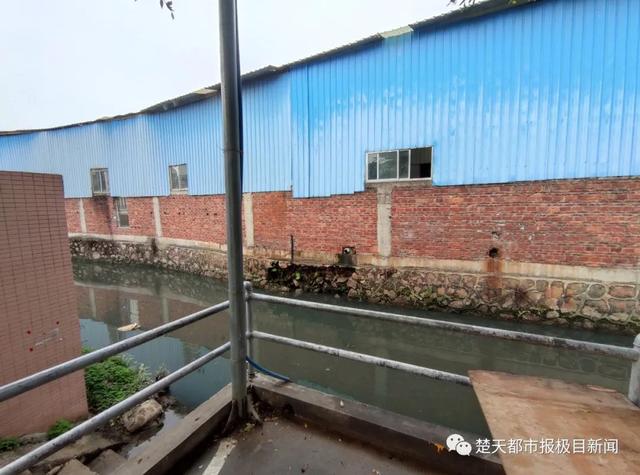 弟弟、妈妈、干儿子相继离奇消失！神秘连环失踪案有重大进展