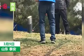 山东一学校疑似向草坪喷“绿漆”，黄草地立刻变绿，校方回应令网友大呼神奇图片