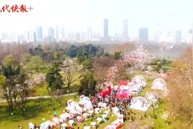 春樱季特别限定！南京2021玄武湖樱花节送上一份春日浪漫图片