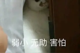 现实版“荒岛求生”！大学生失联3天喝尿续命图片
