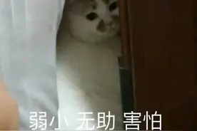 现实版“荒岛求生”！大学生失联3天喝尿续命图片