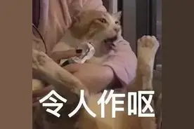 卧室传来阵阵臭味，夫妻俩发现来自床垫！剪开一看恶心坏了图片