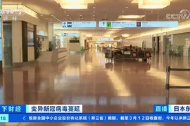 已检出5种变异新冠病毒！入境日本的机票，有航司已取消预订...图片