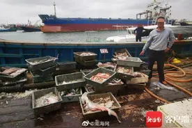 一渔船出海捕捞海马、无沟双髻鲨被查！涉嫌这项新罪名……图片