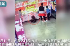 熊孩子偷偷钻进娃娃机 上一秒兴高采烈下一秒悲剧了图片