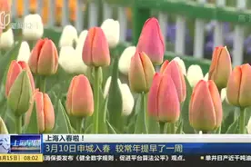 上海入春啦！视频封面