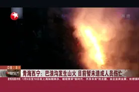 青海西宁：巴浪沟发生山火  目前暂未造成人员伤亡视频封面