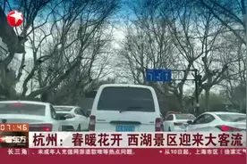 杭州：春暖花开  西湖景区迎来大客流视频封面