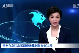 AI合成主播丨贵州在乌江水系调查收集到鱼类104种视频封面