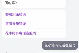 呼叫人工的“暗号”主要靠猜，30家企业客服大测评，“话多”的智能客服，到底是好是坏？图片
