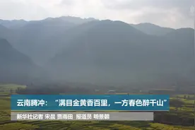 云南腾冲：“满目金黄香百里，一方春色醉千山”视频封面