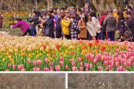 注意！本周末起，西湖景区停车收费有变图片