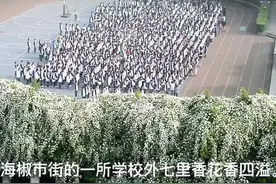 30秒｜成都的这所学校好香啊！视频封面