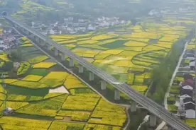 赏花专列已发车！高铁穿越汉中百万亩油菜花海，美如画卷视频封面