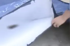 新买的床垫恶臭阵阵苍蝇扎堆！女子剪开一看“吐”了...视频封面