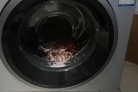 消费者称西门子洗衣机多次故障却“查无问题”，最终折旧退机图片