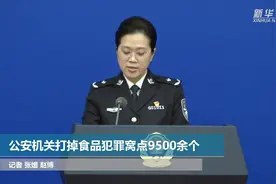 公安机关打掉食品犯罪窝点9500余个视频封面