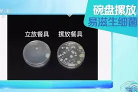 这样洗碗，细菌增加70倍！全吃进了肚子里图片