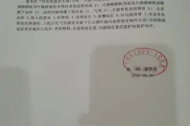 华师女生带养父上大学，养父被醉驾司机撞重伤，一家再陷困境图片