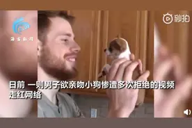 男子数次亲吻狗狗惨遭拒绝：狗爪反复摁嘴，不放弃继续索吻被吼走图片