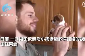 男子数次亲吻狗狗惨遭拒绝：狗爪反复摁嘴，不放弃继续索吻被吼走图片