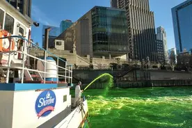 为庆祝圣帕特里克节 美国芝加哥将河流染成绿色图片