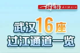 一图看懂丨武汉16座过江通道一览图片