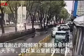 喵星人立功！惯窃偷完东西沉迷“撸猫”，被拍下来了图片