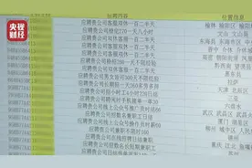 进店2分钟抓拍3次、给钱就能收简历、清理大师成安全隐患……央视315晚会炮轰个人信息侵权图片