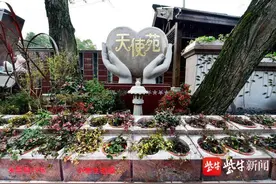 优质服务深入人心，雨花功德园小型生态墓赢得市民认可图片