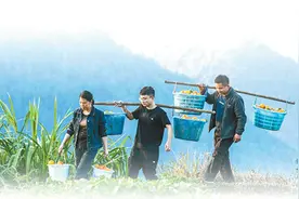 理论联系实际 推动改革发展图片