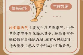遇到沙尘暴，你该怎么办？图片