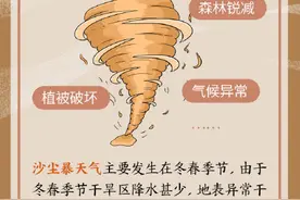 遇到沙尘暴，你该怎么办？图片