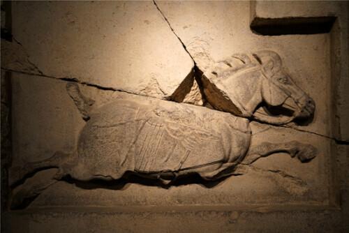 乐游原上望昭陵：从玄武门之变到贞观之治