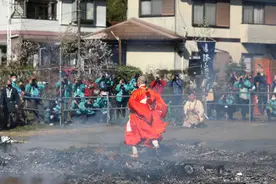 日本八王子市庆祝走火节 民众赤脚过火堆祈祷好运图片