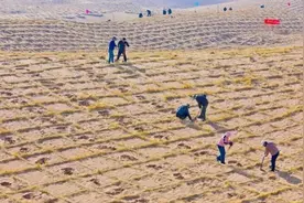 三北防护林为啥没挡住沙尘？权威分析来了图片