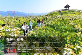 春暖·花开图片