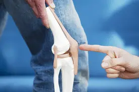 动画科普：半月板是什么？如何避免半月板受伤？