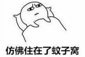 到底住几楼，才能没蚊子？答案你可能想不到图片