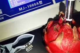 警惕“健康智能检测仪”：火龙果竟被测出有心跳视频封面