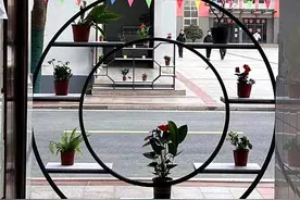 宿迁沭阳：“花园城市”释放生态红利图片