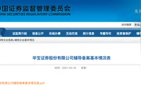 又有券商冲刺A股IPO！宝武集团旗下华宝证券已接受中金公司辅导，去年12月才获保荐资格图片