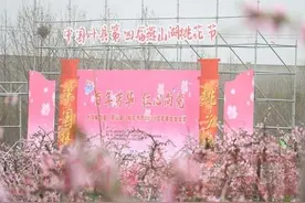 千亩桃花竞相绽放，叶县第四届桃花节开幕图片