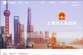 “冰雪之星”明年营业，上海临港：将培育冰雪赛事图片