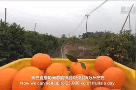 习近平时间｜电商，推动乡村振兴大有可为图片