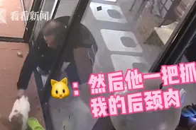 加菲猫长得太萌 他竟趁店主不注意顺手拎走了图片